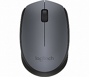 ���� ������� LogiTech M170 Wireless 